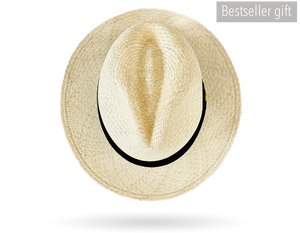 fedora shape panama hat